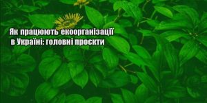 yak praczyuyut ekoorganizacziyi v ukrayini golovni proyekty