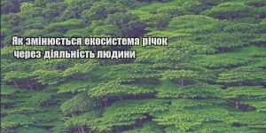 yak zminyuyetsya ekosystema richok cherez diyalnist lyudyny