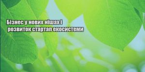 biznes u novyh nishah i rozvytok startap ekosystemy