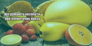 shho dumayut eksperty pro klimatychnu kryzu