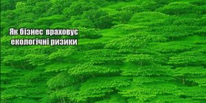 yak biznes vrahovuye ekologichni ryzyky