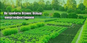 yak zrobyty biznes bilsh energoefektyvnym
