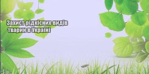 zahyst ridkisnyh vydiv tvaryn v ukrayini