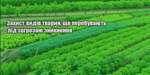 zahyst vydiv tvaryn shho perebuvayut pid zagrozoyu znyknennya