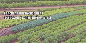 zeleni parky ta skvery yak oseredky ekologichnoyi kultury