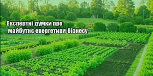 ekspertni dumky pro majbutnye energetyky biznesu