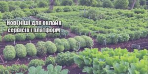 novi nishi dlya onlajn servisiv i platform