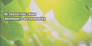 yak ekologichni zminy vplyvayut na ekonomiku