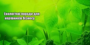 ekologichni porady dlya kerivnykiv biznesu