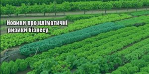novyny pro klimatychni ryzyky biznesu