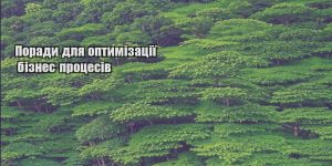 porady dlya optymizacziyi biznes proczesiv
