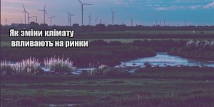 yak zminy klimatu vplyvayut na rynky